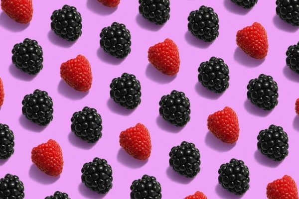 ActiveFit Protein Shake